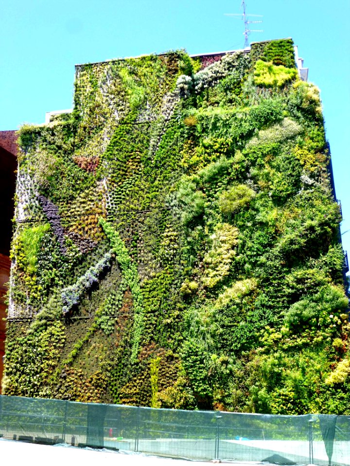 Madrid - CaixaForum, jardín vertical 2