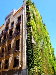 Madrid - CaixaForum, jardín vertical 1