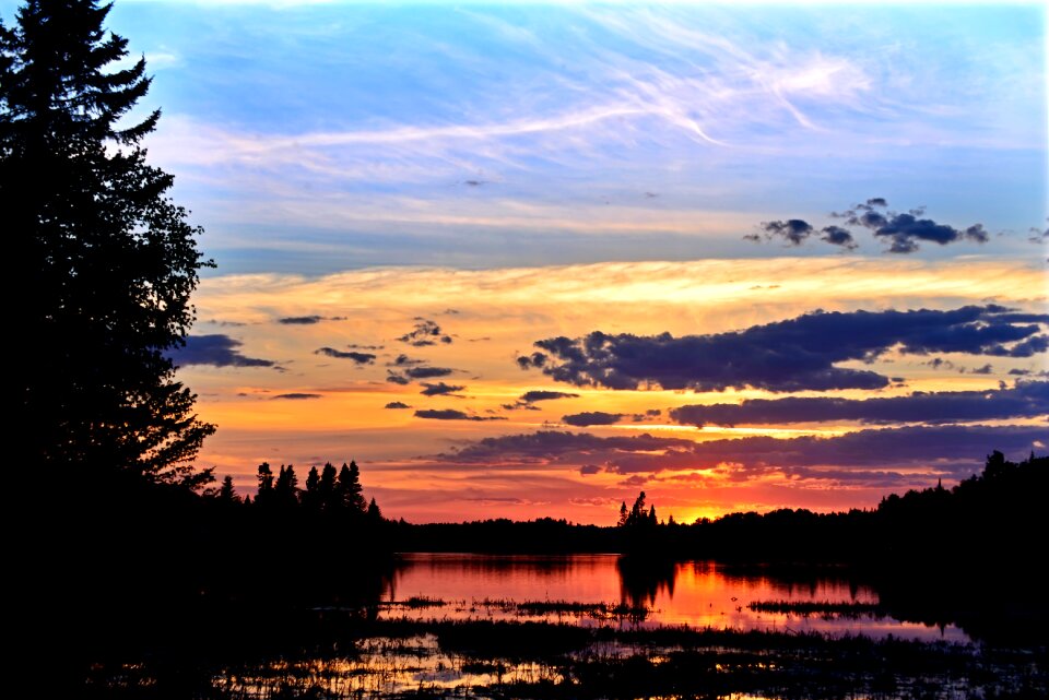 Nature trees clouds photo