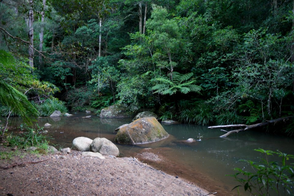 Macquarie Rivulet, Macquarie Pass National Park, New South Wales, Australia 32