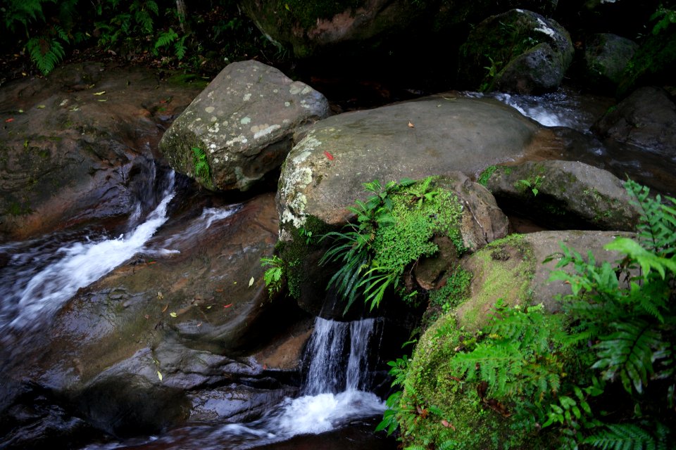 Macquarie Rivulet, Macquarie Pass National Park, New South Wales, Australia 54