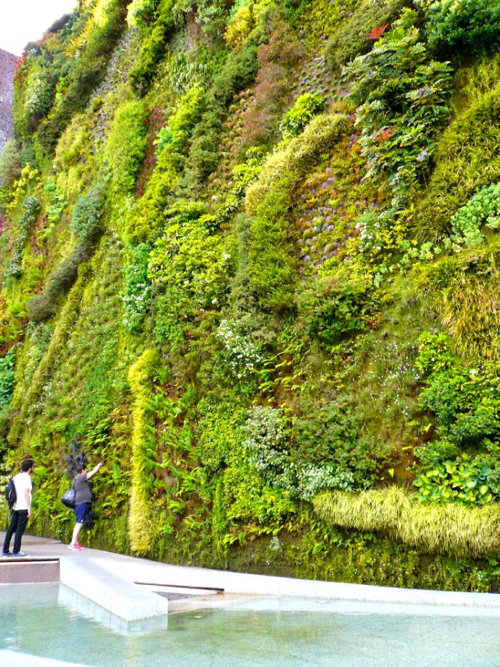 Madrid - CaixaForum, jardín vertical