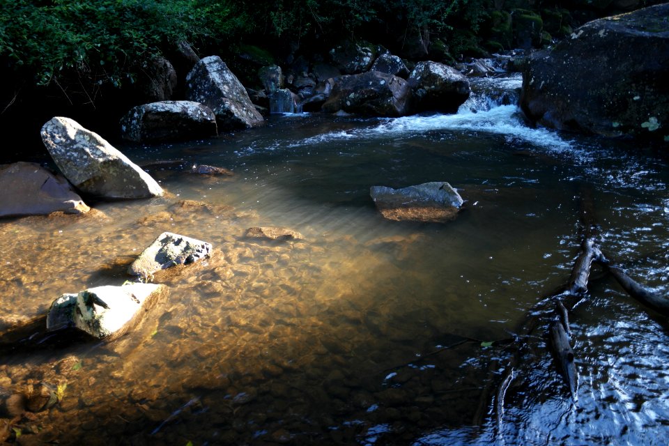 Macquarie Rivulet, Macquarie Pass National Park, New South Wales, Australia 50