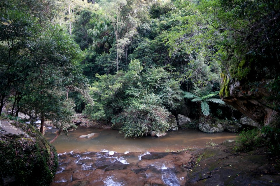 Macquarie Rivulet, Macquarie Pass National Park, New South Wales, Australia 57