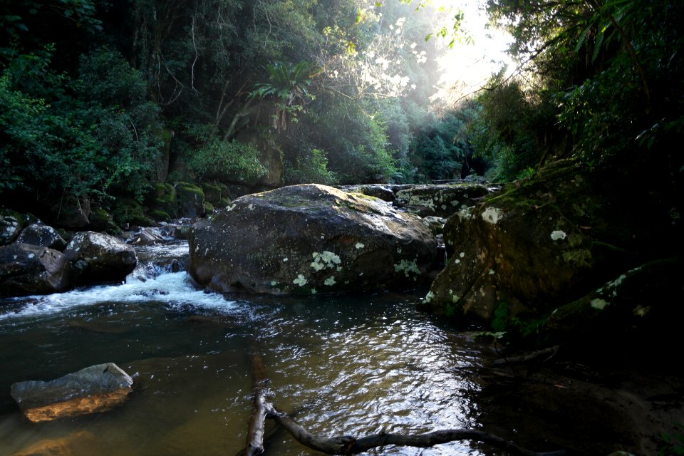 Macquarie Rivulet, Macquarie Pass National Park, New South Wales, Australia 49