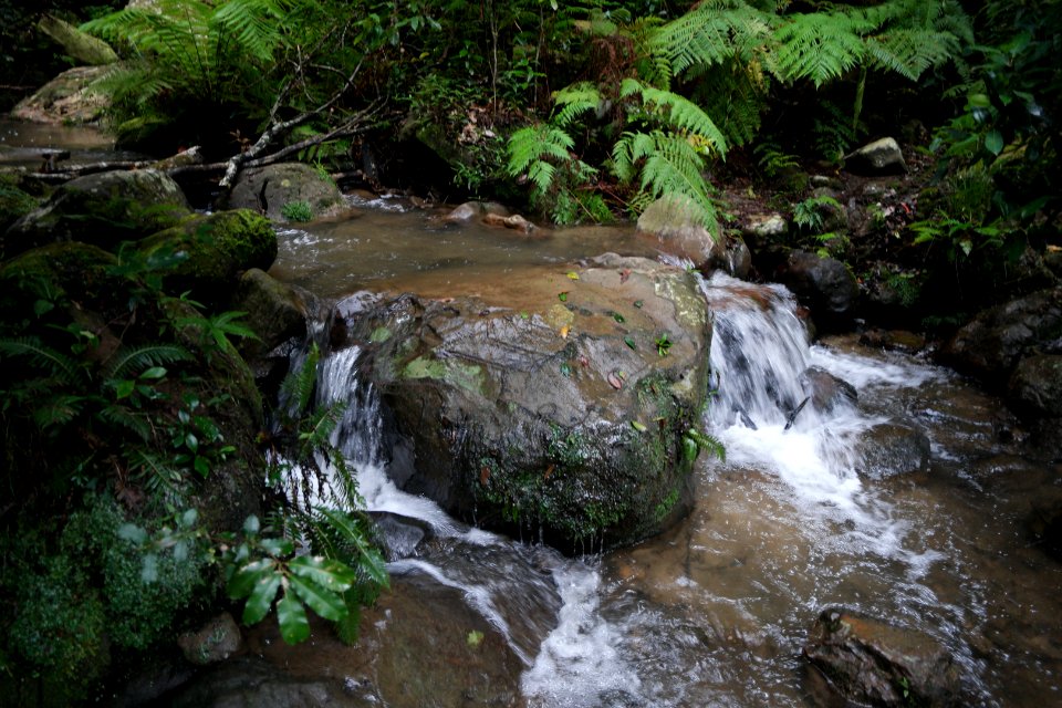 Macquarie Rivulet, Macquarie Pass National Park, New South Wales, Australia 56