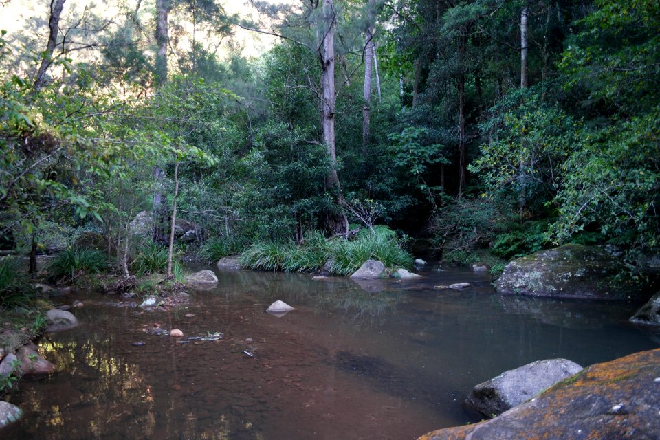 Macquarie Rivulet, Macquarie Pass National Park, New South Wales, Australia 34
