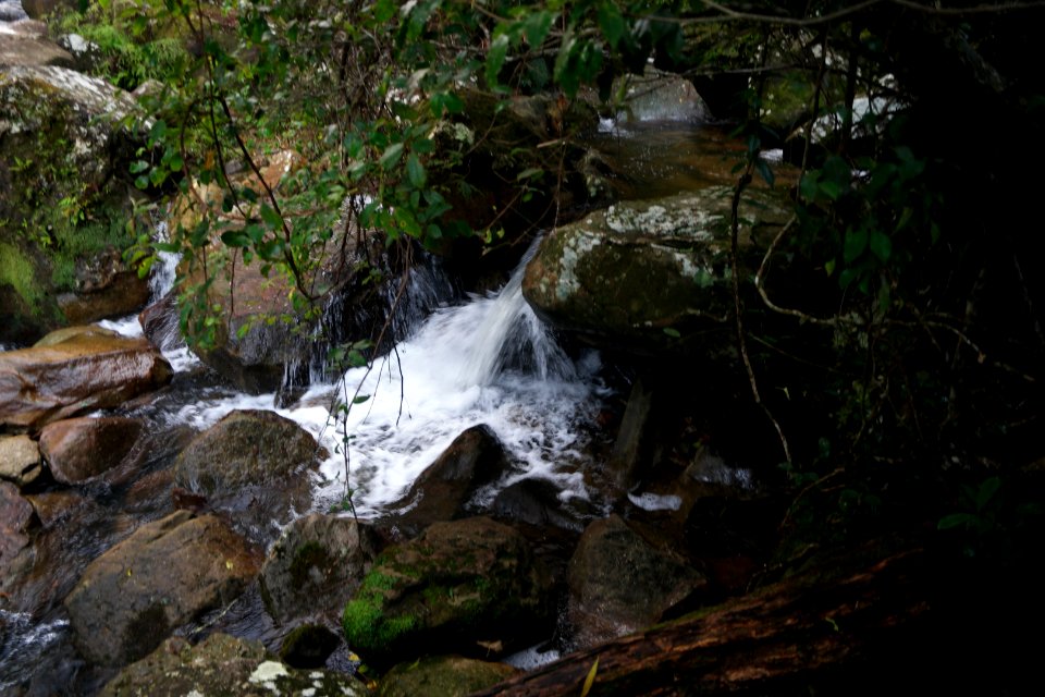 Macquarie Rivulet, Macquarie Pass National Park, New South Wales, Australia 68
