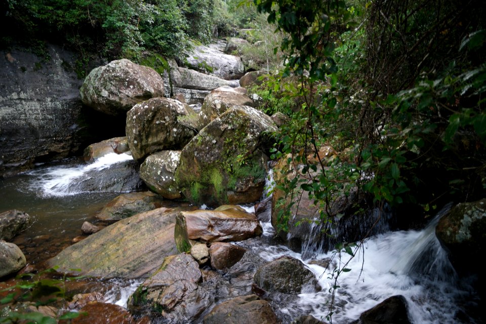 Macquarie Rivulet, Macquarie Pass National Park, New South Wales, Australia 69