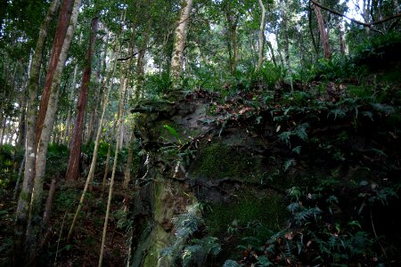 Macquarie Rivulet, Macquarie Pass National Park, New South Wales, Australia 28
