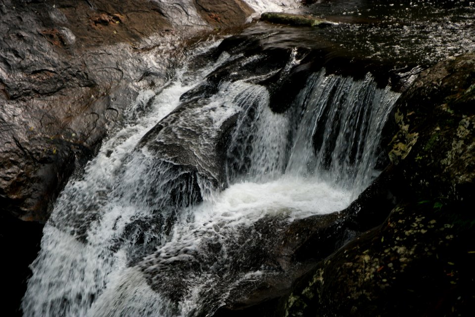 Macquarie Rivulet, Macquarie Pass National Park, New South Wales, Australia 71