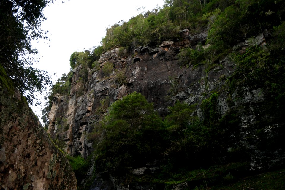 Macquarie Rivulet, Macquarie Pass National Park, New South Wales, Australia 65
