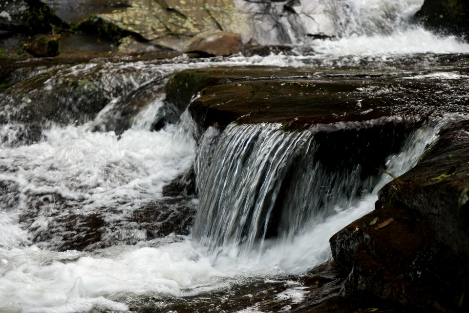 Macquarie Rivulet, Macquarie Pass National Park, New South Wales, Australia 67