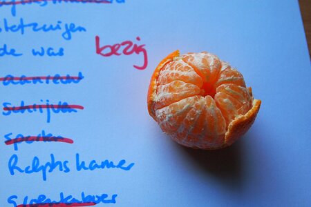 Break time vitamin fruit