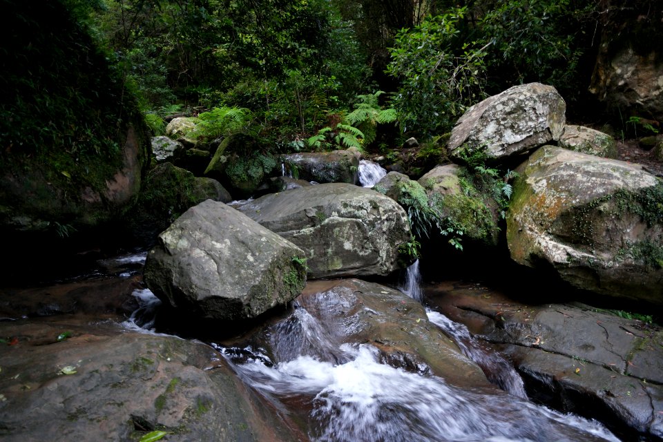 Macquarie Rivulet, Macquarie Pass National Park, New South Wales, Australia 58