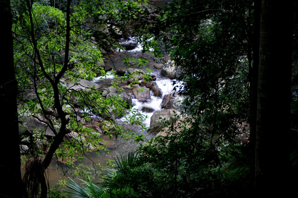 Macquarie Rivulet, Macquarie Pass National Park, New South Wales, Australia 40
