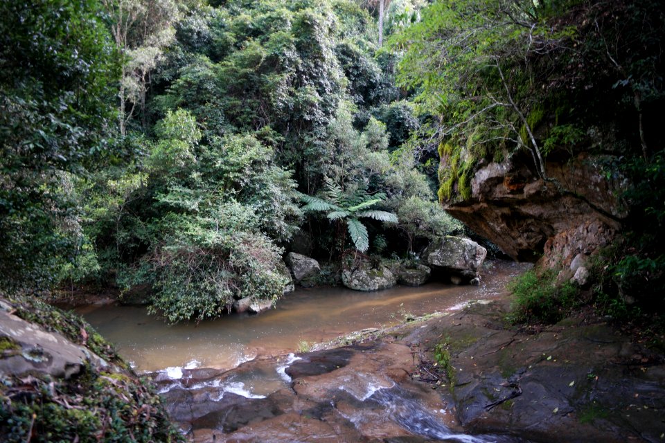 Macquarie Rivulet, Macquarie Pass National Park, New South Wales, Australia 53