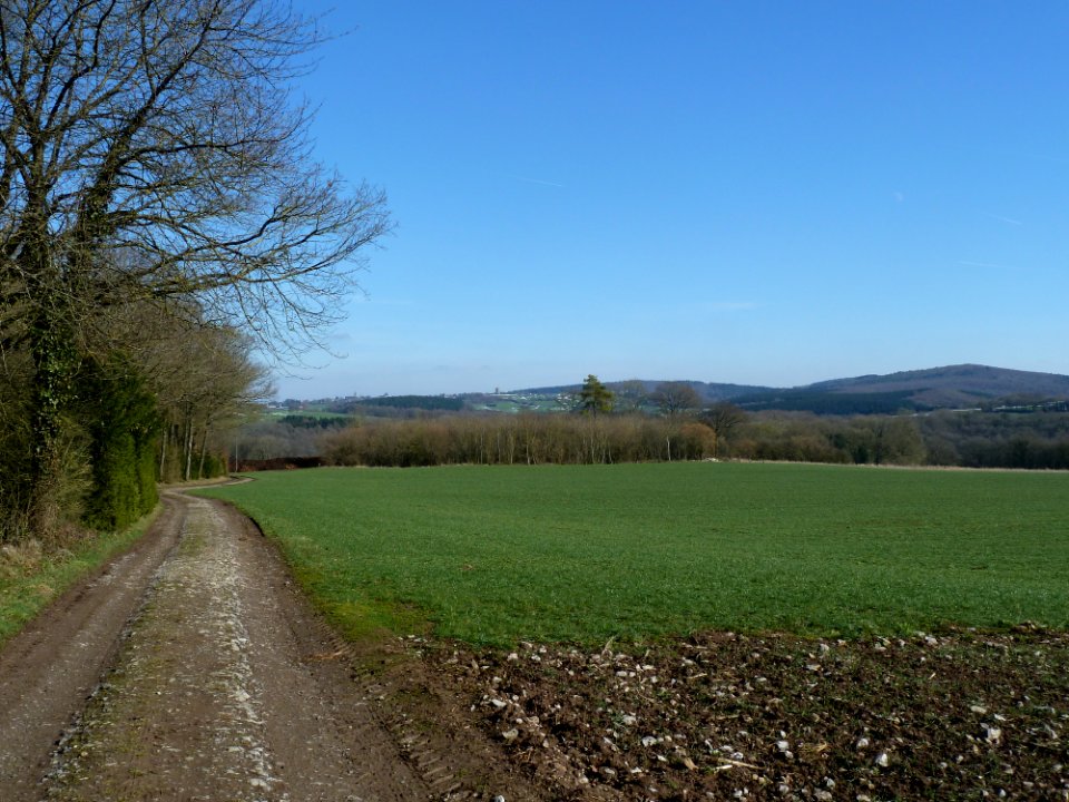 Menhir de Heyd (5)