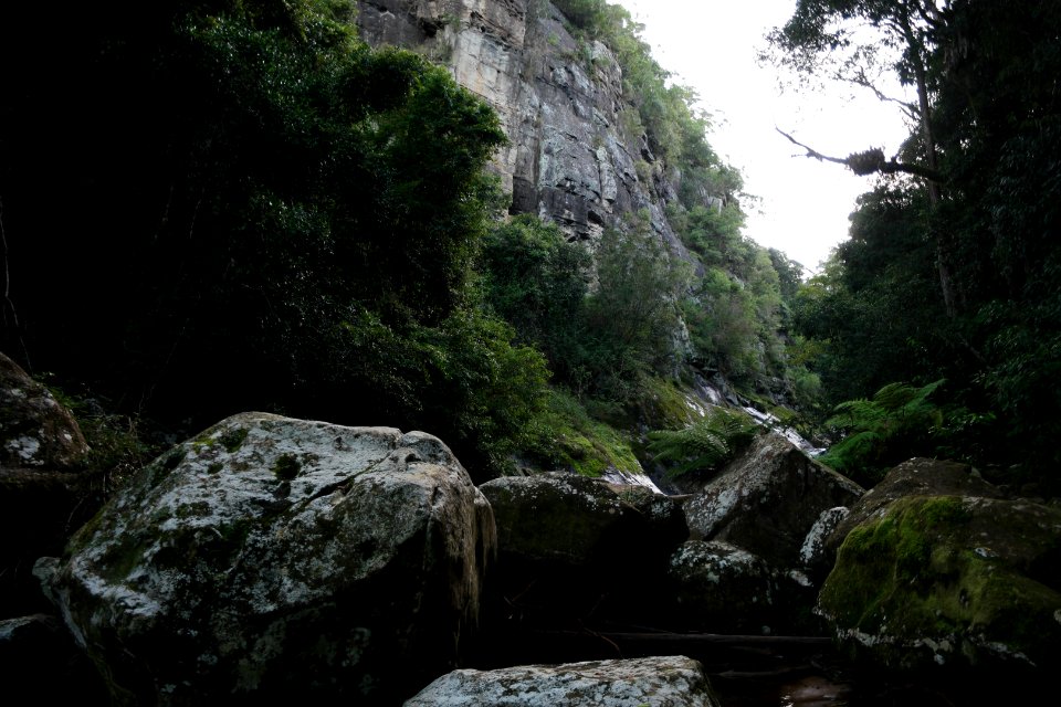 Macquarie Rivulet, Macquarie Pass National Park, New South Wales, Australia 61