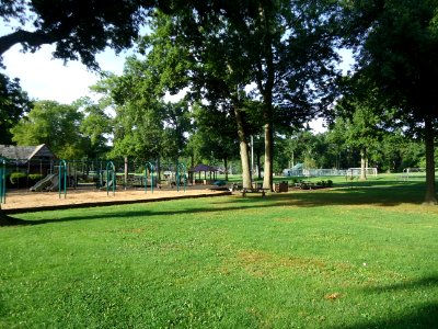 Memorial Field park with grass and trees in Summit NJ photo