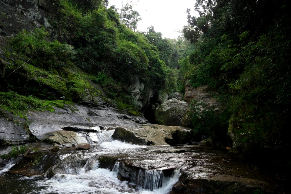 Macquarie Rivulet, Macquarie Pass National Park, New South Wales, Australia 66