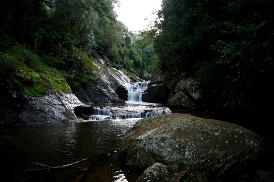 Macquarie Rivulet, Macquarie Pass National Park, New South Wales, Australia 63