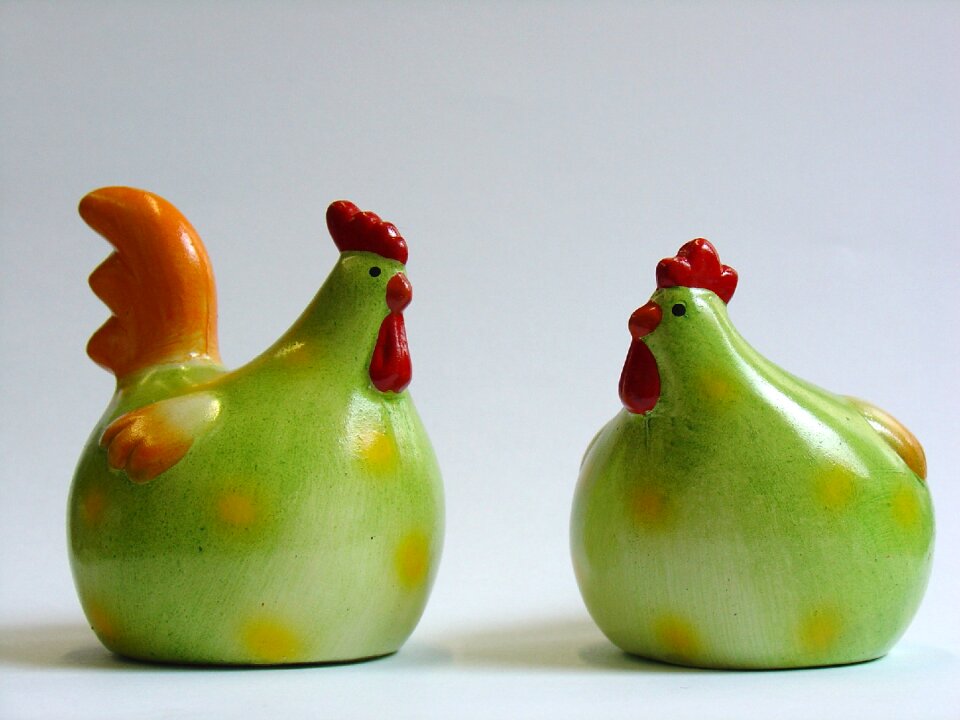 Chickens chicken green