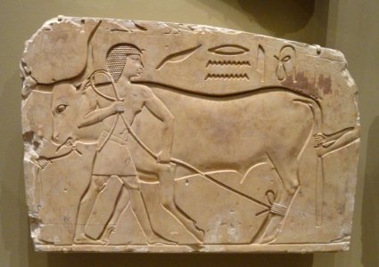 Men Trussing an Ox, about 667-647 BC, Thebes, Late Period, late Dynasty 25 to early Dynasty 26, limestone - Cleveland Museum of Art - DSC08669