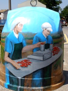 Mendavia - contenedores de reciclaje 06