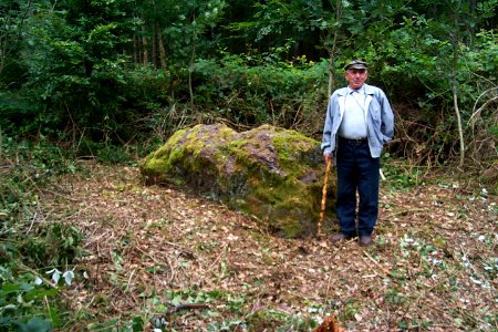 Menhir von Farschweiler H4