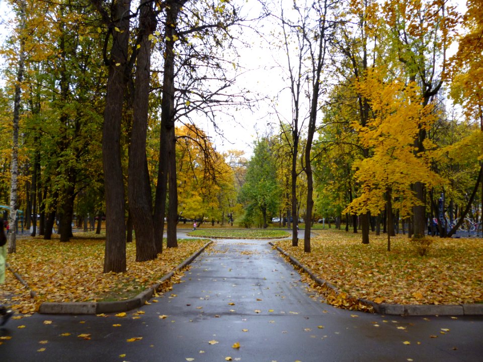 Memorial park in october 2014 09