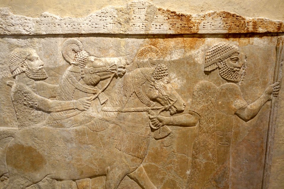 Men leading horses, probably from Mushki, detail - Corridor 10 relief, Palace of Sargon II - Oriental Institute Museum, University of Chicago - DSC07592
