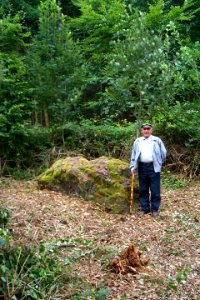 Menhir von Farschweiler H5