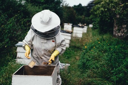 Beehive beeswax garden