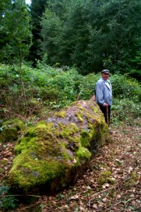 Menhir von Farschweiler H6