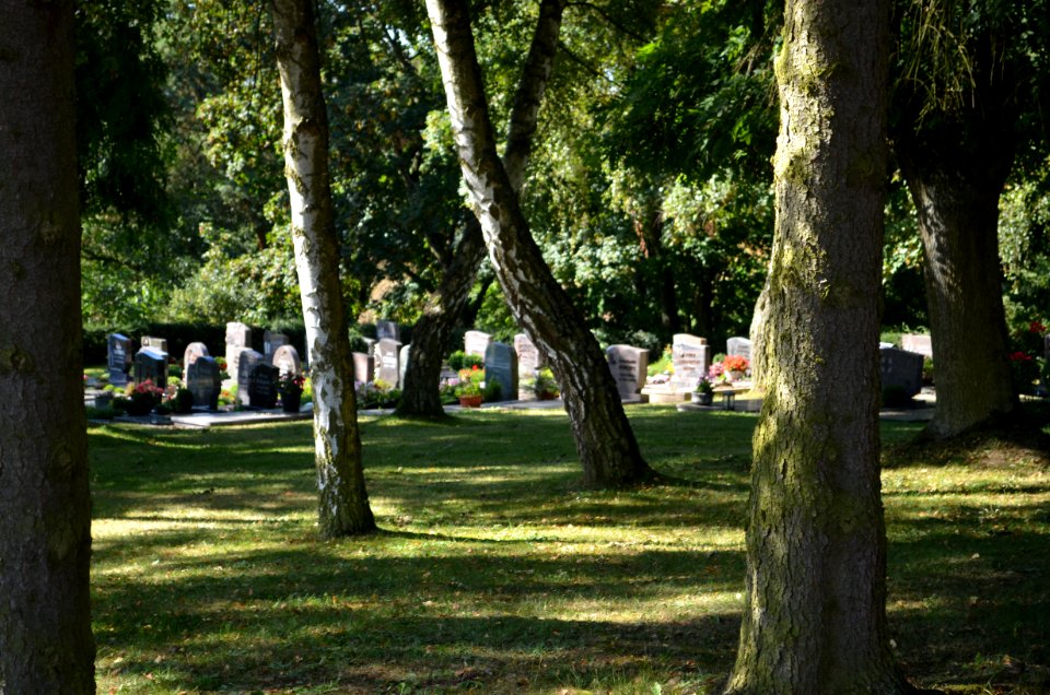 Mengerschied, Friedhof, Gräber