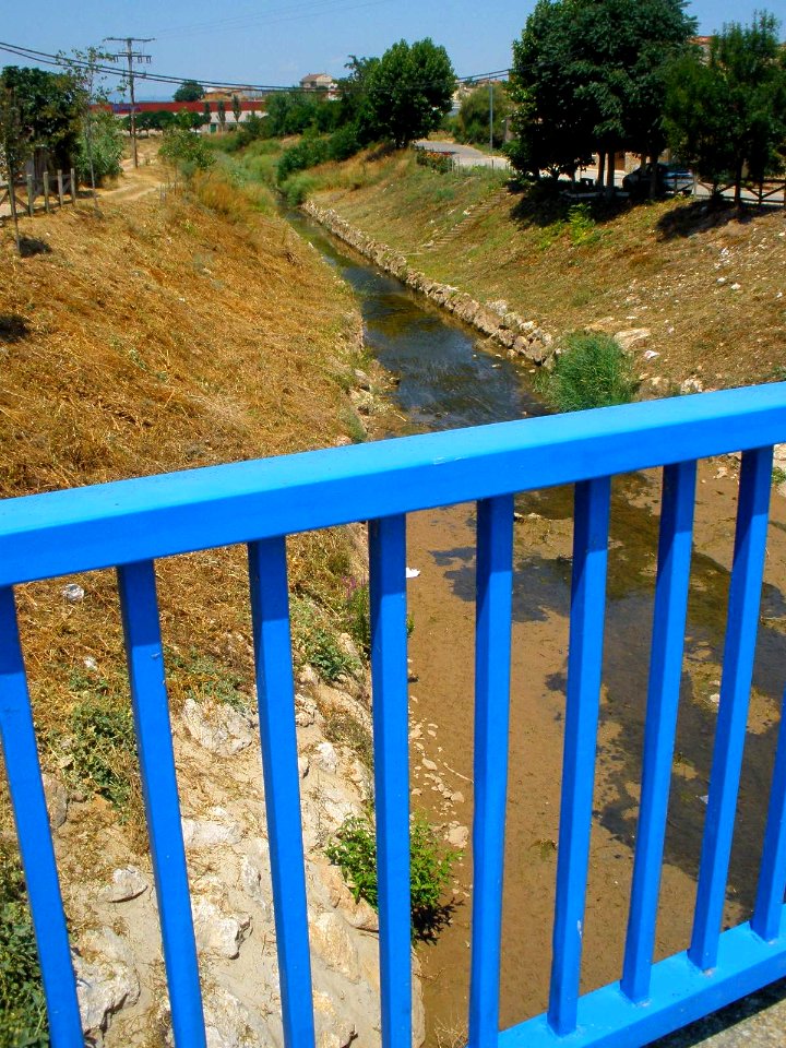 Mendavia - Río Mayor 1