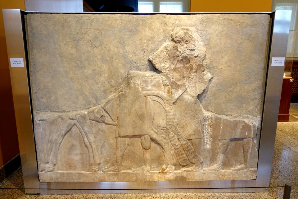 Men leading horses, probably from Mushki - Corridor 10 relief, Palace of Sargon II - Oriental Institute Museum, University of Chicago - DSC07596