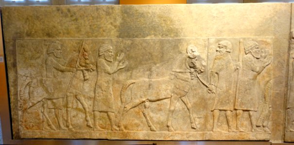 Men leading horses, probably from Mushki - Corridor 10 relief, Palace of Sargon II - Oriental Institute Museum, University of Chicago - DSC07589