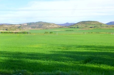 Mendoza 31