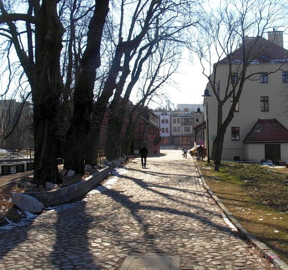 Mennica bis 03 2011