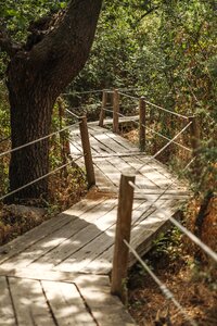 Path zigzag lavirian