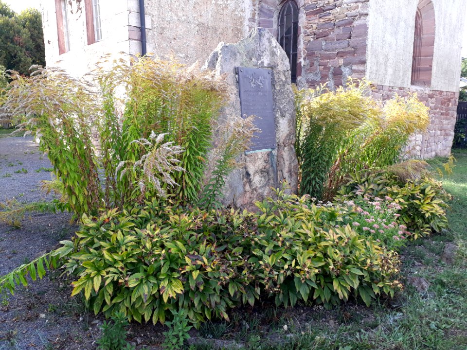 Menhir Hackpfüffel - 2