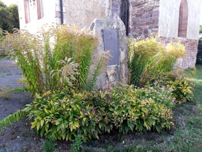 Menhir Hackpfüffel - 2