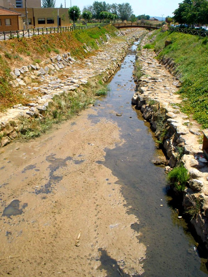 Mendavia - Río Mayor 2