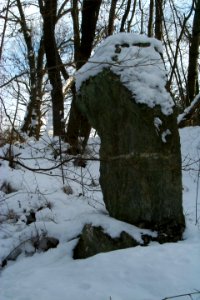 Menhir von Büdlich H1