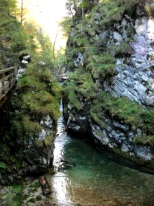 Mendlingtal 2