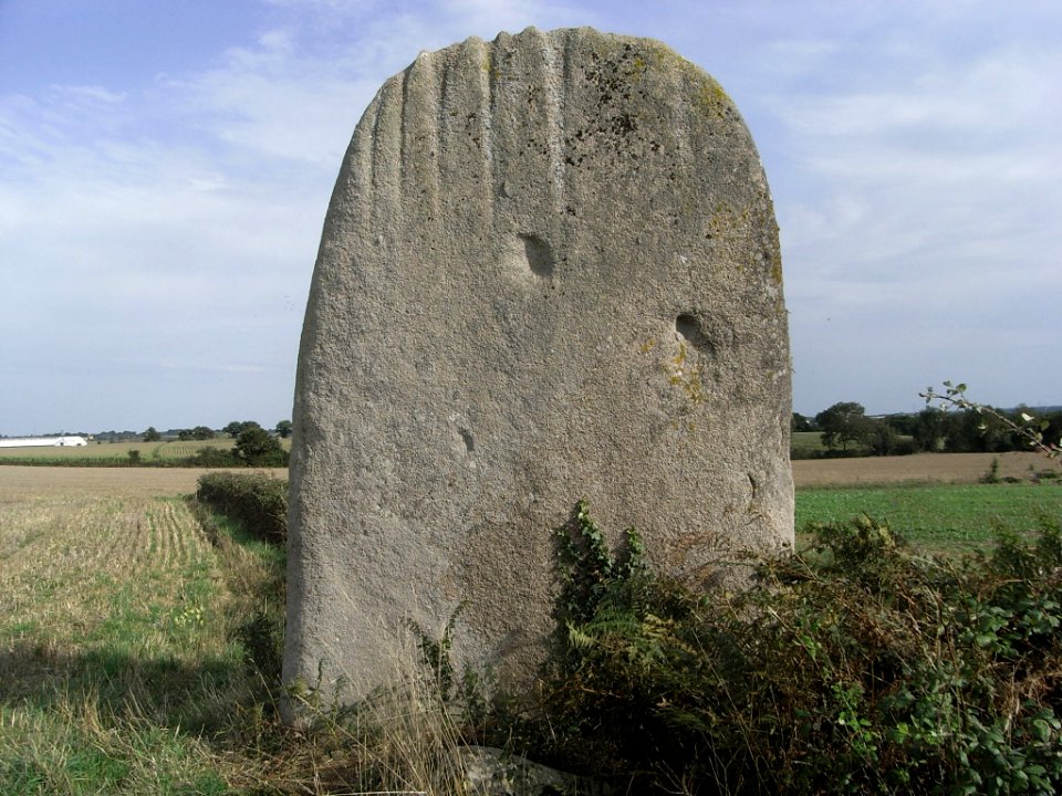Menhir dit la pierre levée de la Bretaudière 04