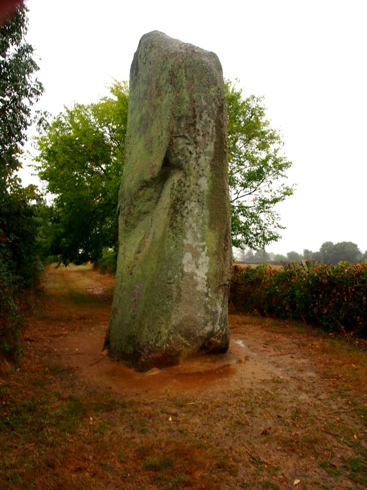 Menhir du Plessis, pic1