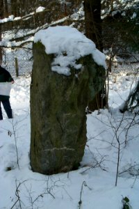 Menhir von Büdlich H2